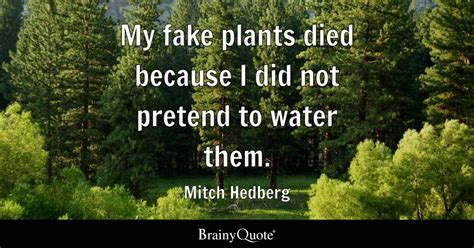 you stood by and watched me water a fake plant|Mitch Hedberg’s Witty Quote on Fake Plants, and Attending to .